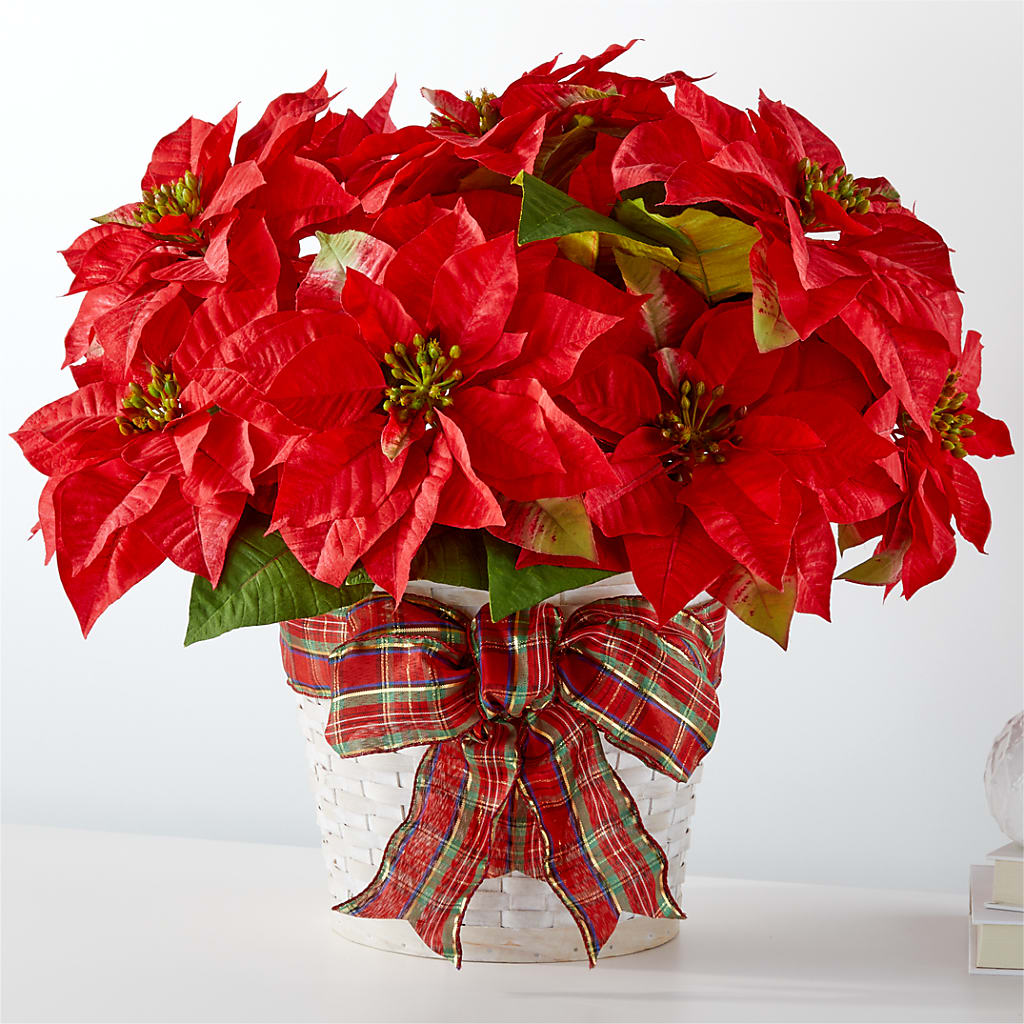 Happiest Holidays Poinsettia – Affordableflowerdelivery.com, Tontitown AR