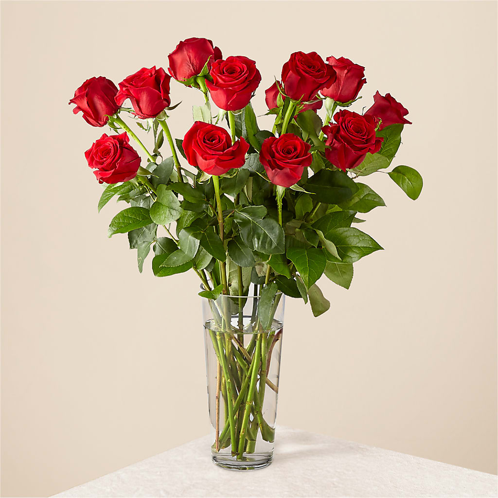 Long Stem Red Rose Bouquet – Affordableflowerdelivery.com, Tontitown AR