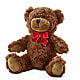 Adorable Plush Bear – Affordableflowerdelivery.com, Tontitown AR