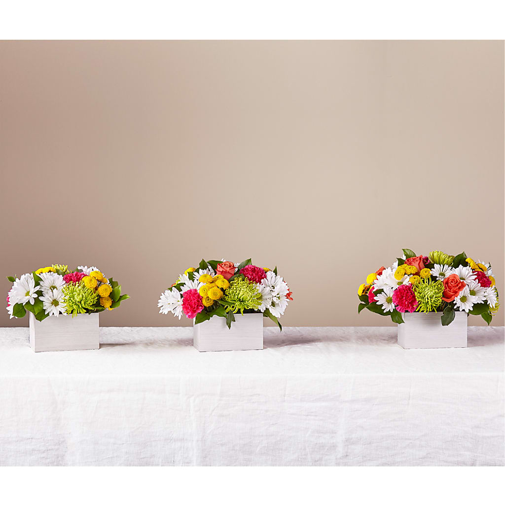 Sorbet Bouquet – Affordableflowerdelivery.com, Tontitown AR
