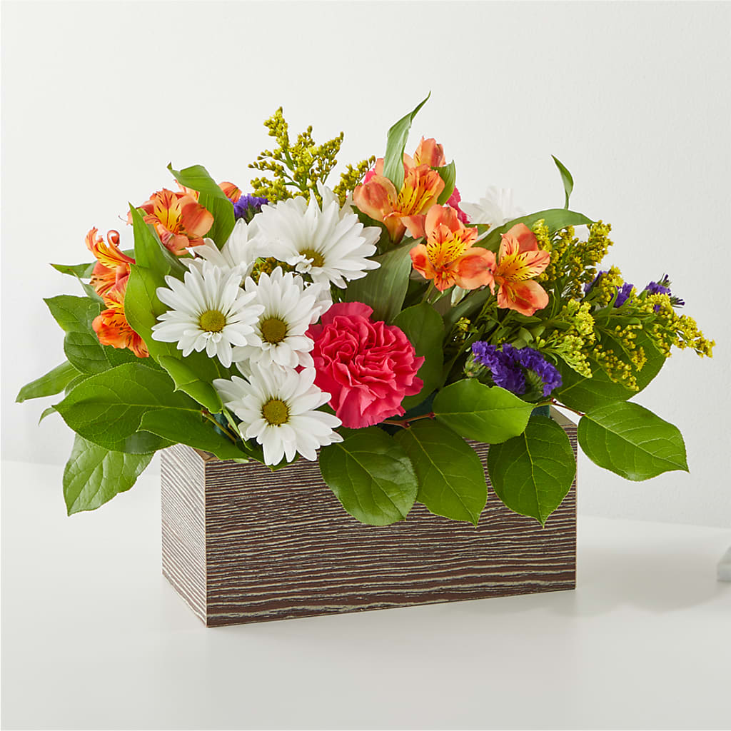 Oopsie Daisy Box Bouquet – Affordableflowerdelivery.com, Tontitown AR