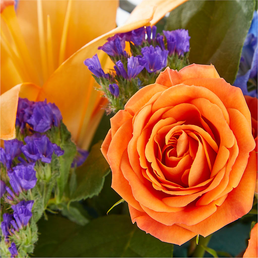 Radiant Citrus Box Bouquet – Affordableflowerdelivery.com, Tontitown AR