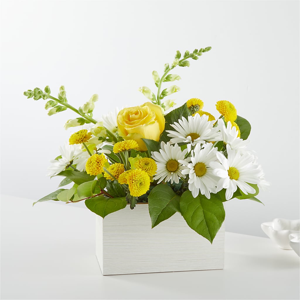 Sun Salutation Box Bouquet – Affordableflowerdelivery.com, Tontitown AR