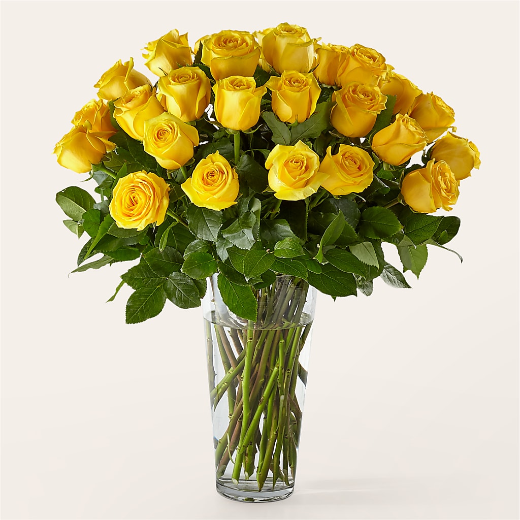 Long Stem Yellow Rose Bouquet – Affordableflowerdelivery.com, Tontitown AR