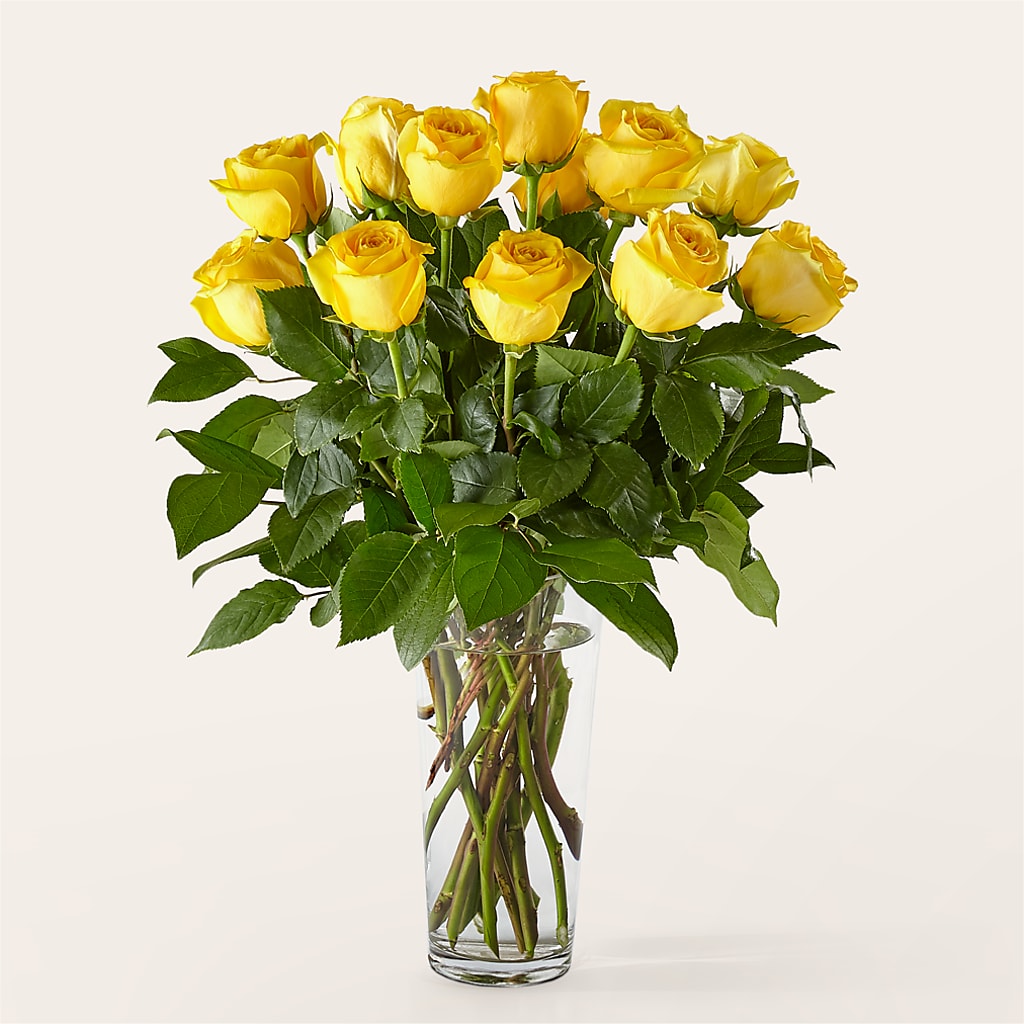 Long Stem Yellow Rose Bouquet – Affordableflowerdelivery.com, Tontitown AR