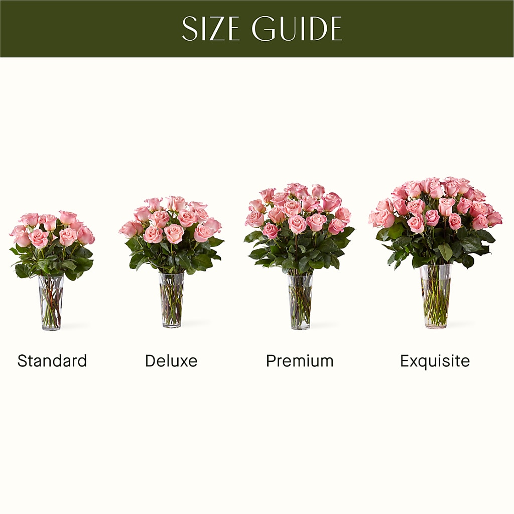 Long Stem Pink Rose Bouquet – Affordableflowerdelivery.com, Tontitown AR