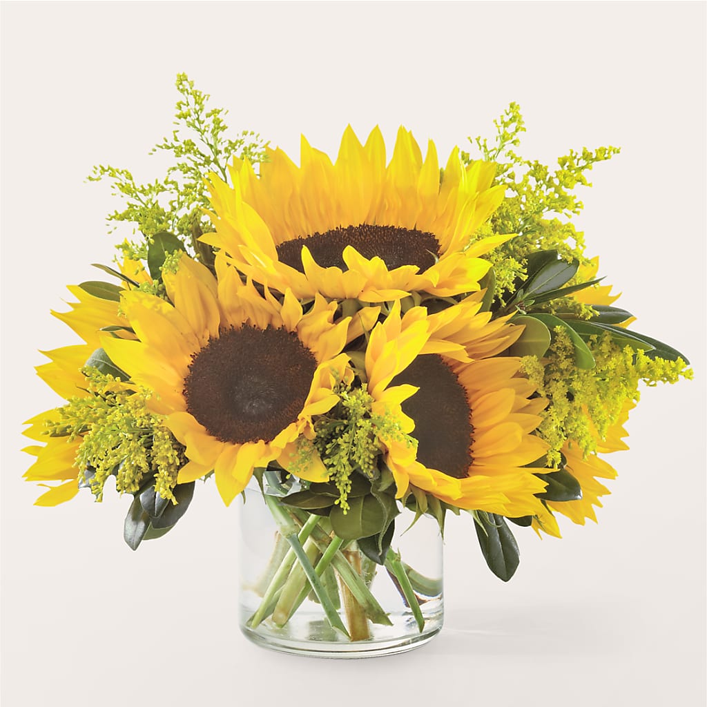Beaming Sunflower Bouquet – Affordableflowerdelivery.com, Tontitown AR
