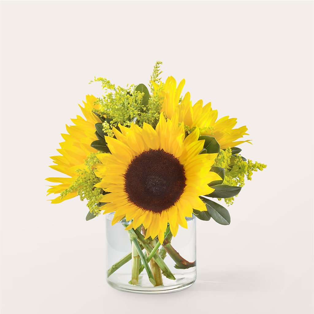 Beaming Sunflower Bouquet – Affordableflowerdelivery.com, Tontitown AR