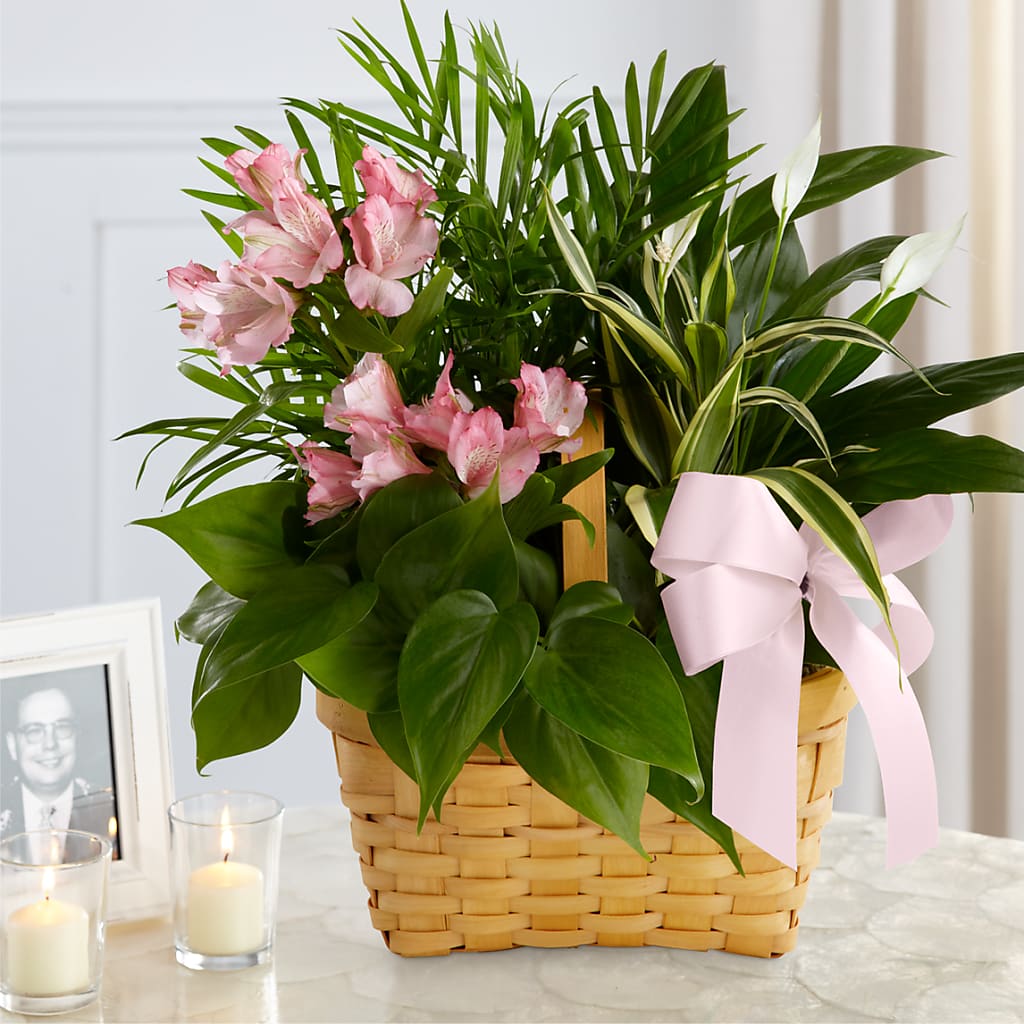 Living Spirit Dishgarden – Affordableflowerdelivery.com, Tontitown AR