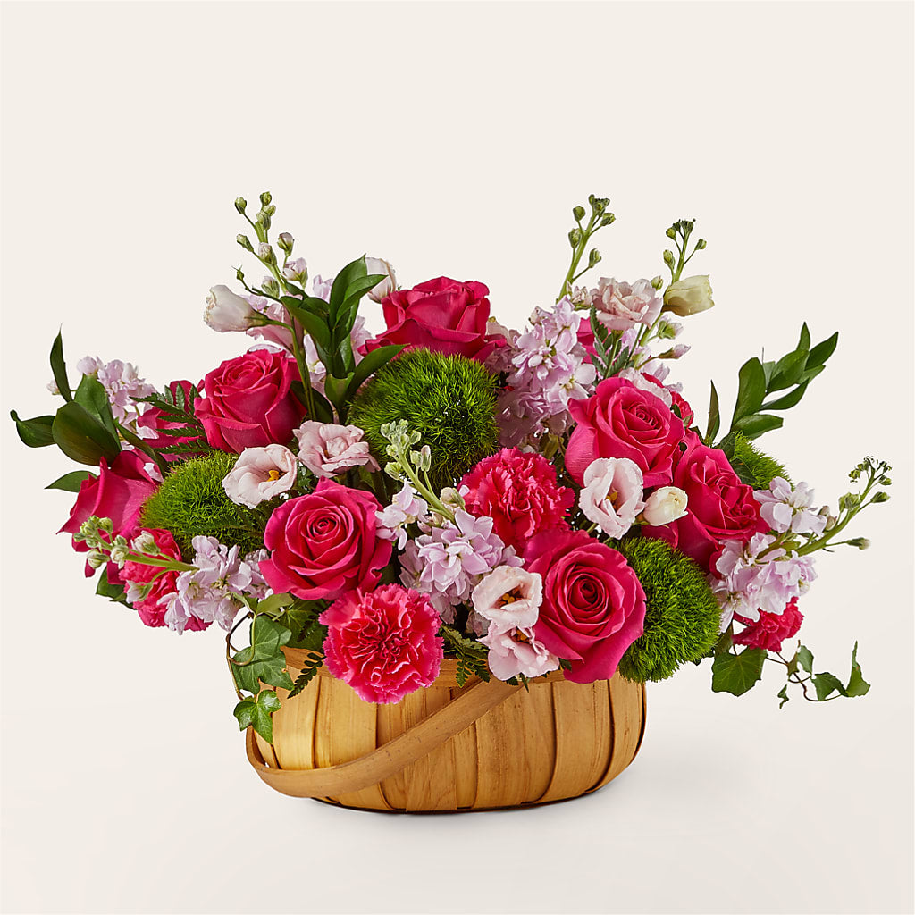 Radiance in Bloom Basket – Affordableflowerdelivery.com, Tontitown AR