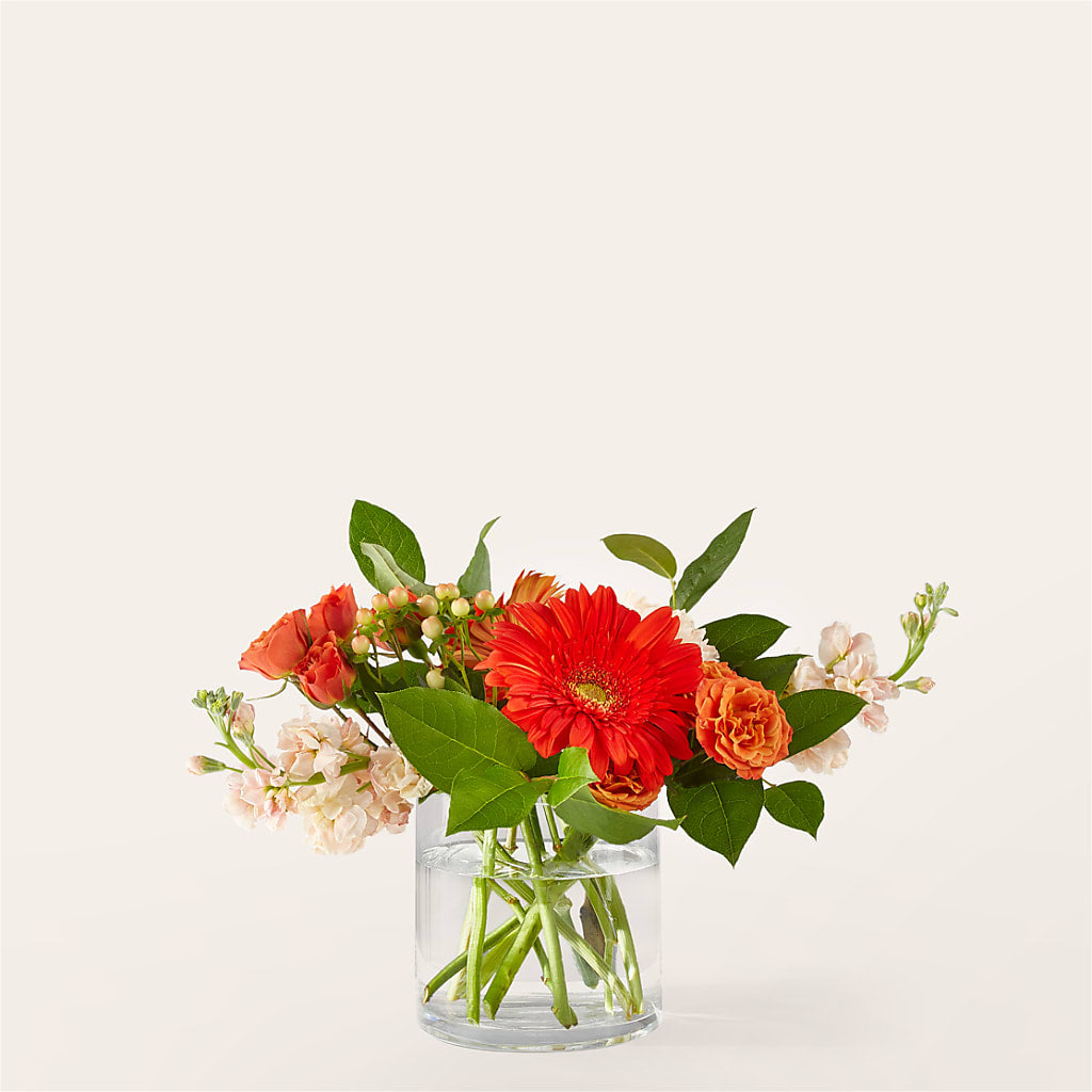 Paloma Please Bouquet – Affordableflowerdelivery.com, Tontitown AR