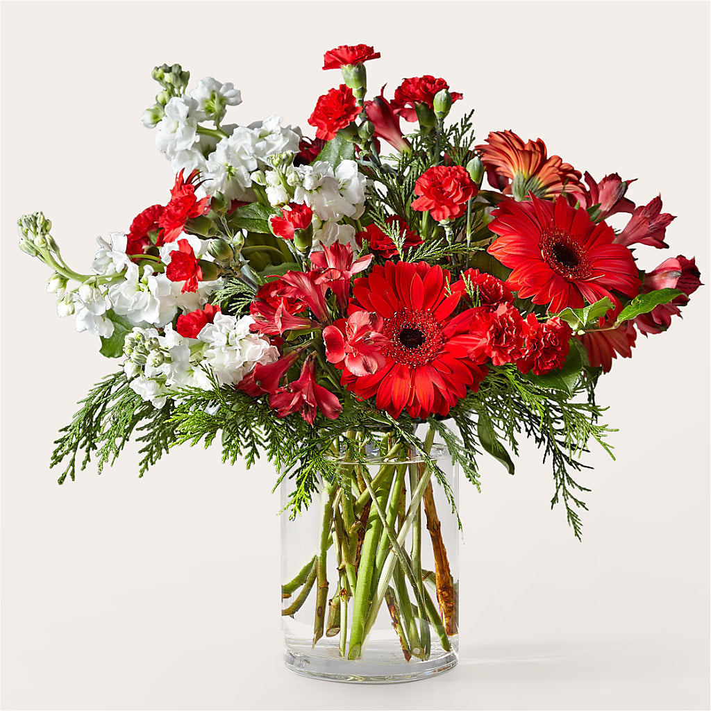 Holidaisy Bouquet – Affordableflowerdelivery.com, Tontitown AR