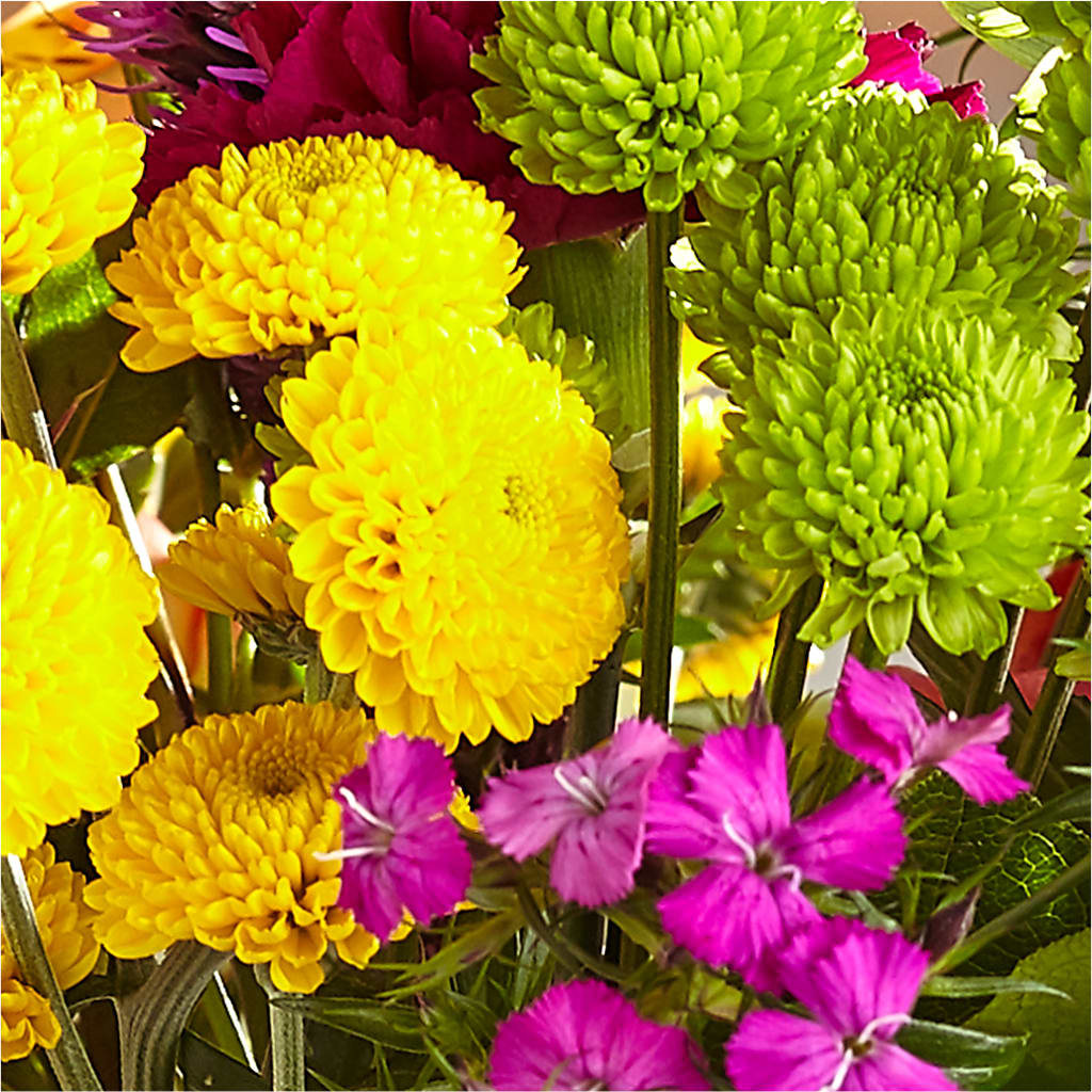 Bold & Bright – A Florist Original –  Affordableflowerdelivery.com, Tontitown AR