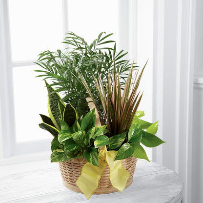 French Garden –  Affordableflowerdelivery.com, Tontitown AR