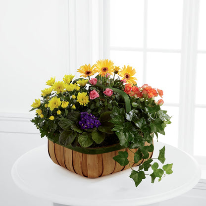 Gentle Blossoms Basket –  Affordableflowerdelivery.com, Tontitown AR