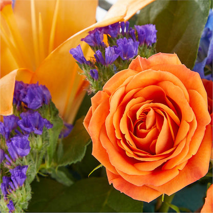 Radiant Citrus Box Bouquet –  Affordableflowerdelivery.com, Tontitown AR