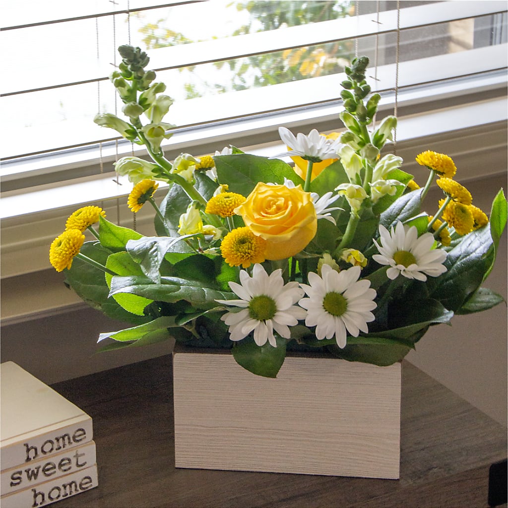 Sun Salutation Box Bouquet –  Affordableflowerdelivery.com, Tontitown AR