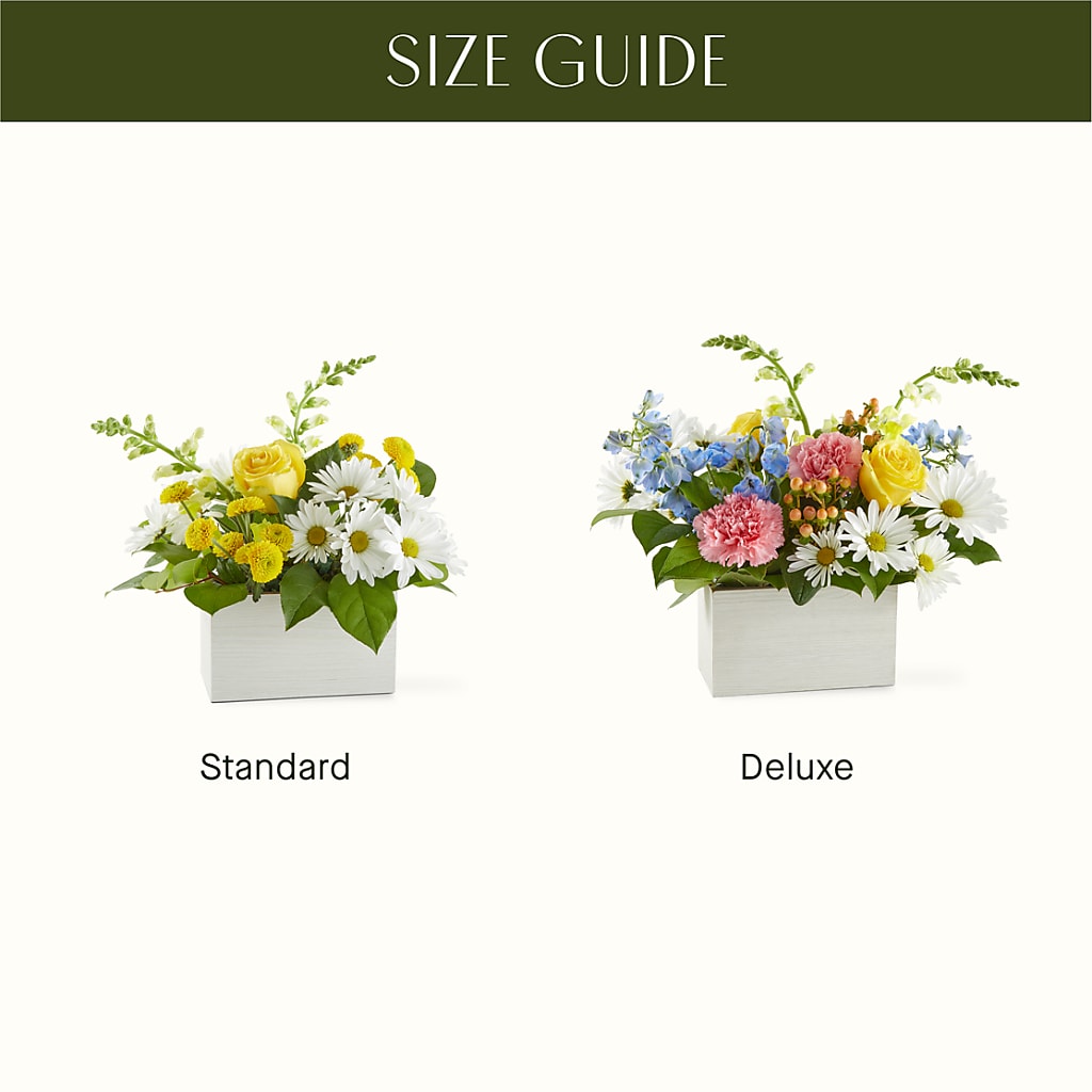 Sun Salutation Box Bouquet –  Affordableflowerdelivery.com, Tontitown AR