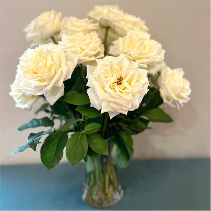 Long Stem Yellow Rose Bouquet –  Affordableflowerdelivery.com, Tontitown AR