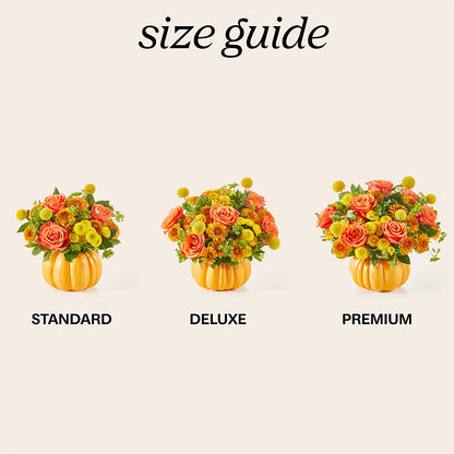 Gourdgeous Pumpkin –  Affordableflowerdelivery.com, Tontitown AR