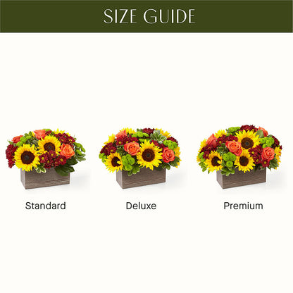 Happy Harvest Garden –  Affordableflowerdelivery.com, Tontitown AR