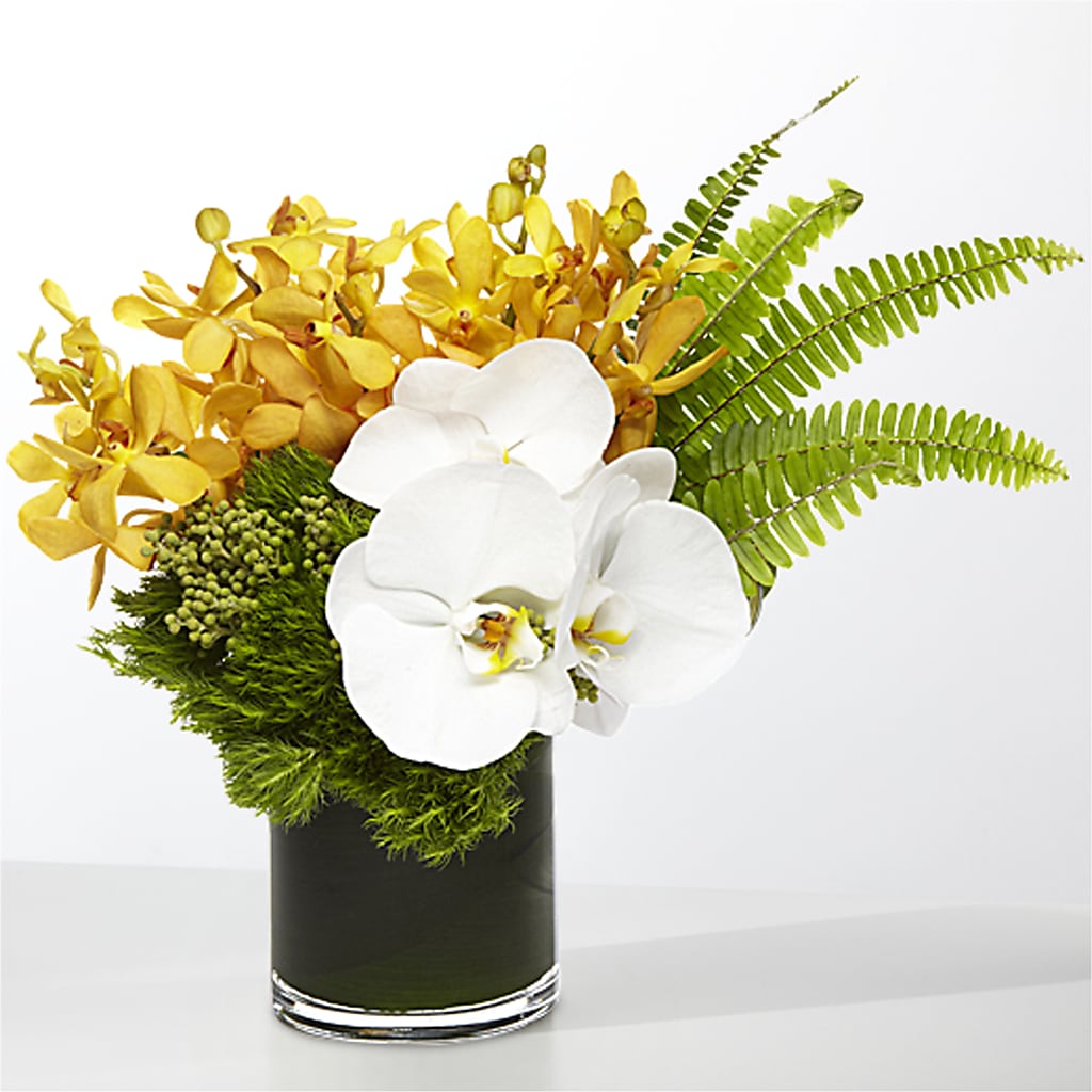 The Tropics –  Affordableflowerdelivery.com, Tontitown AR