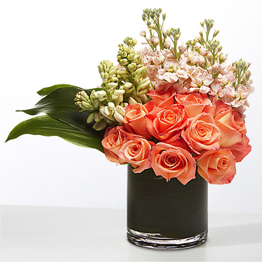The Moment –  Affordableflowerdelivery.com, Tontitown AR