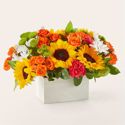 Sun-drenched Blooms Box Bouquet –  Affordableflowerdelivery.com, Tontitown AR