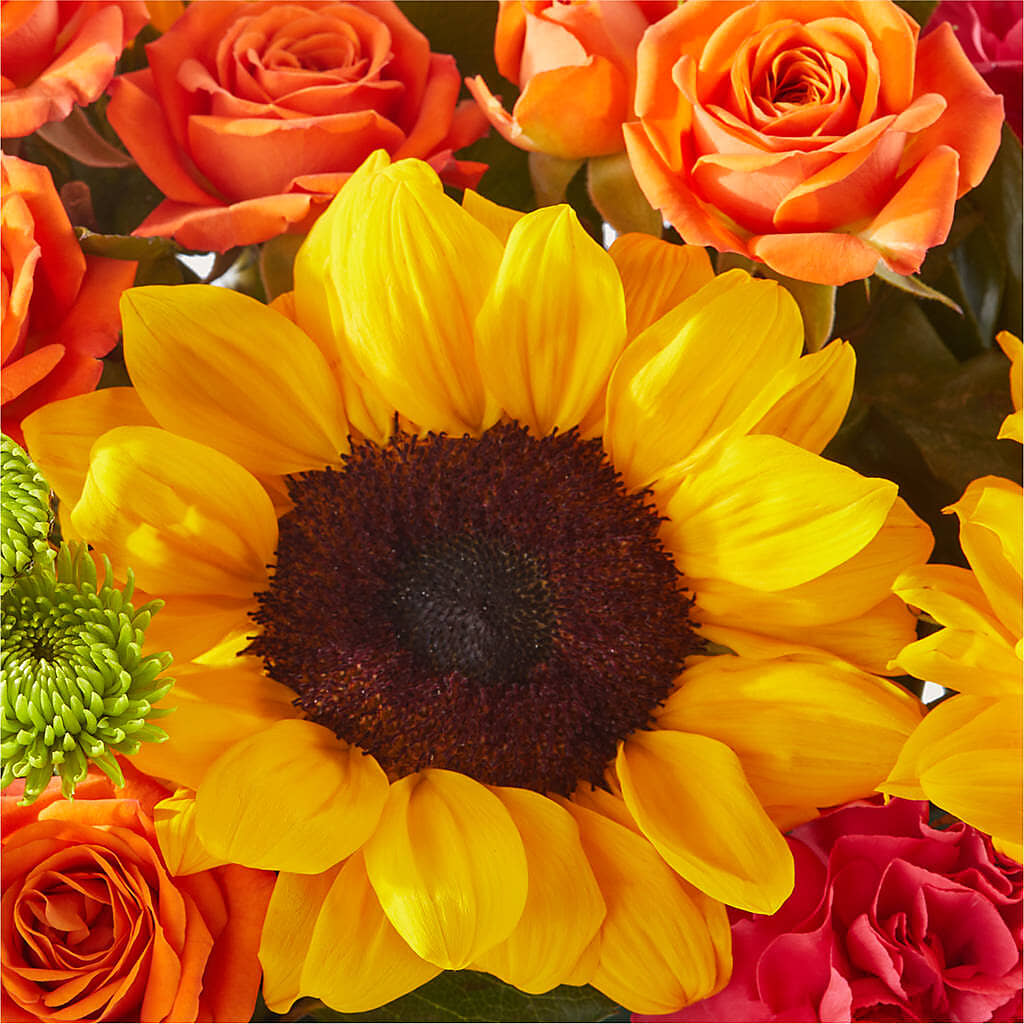 Sun-drenched Blooms Box Bouquet –  Affordableflowerdelivery.com, Tontitown AR
