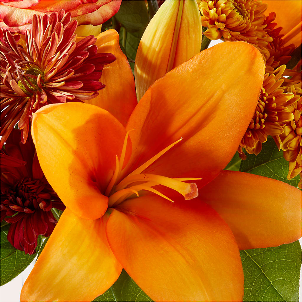 Autumnal Aroma Bouquet –  Affordableflowerdelivery.com, Tontitown AR