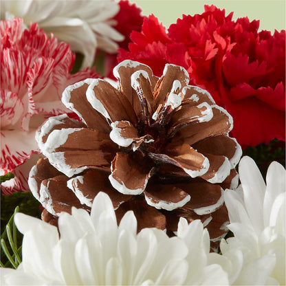Candy Cane Lane Bouquet –  Affordableflowerdelivery.com, Tontitown AR