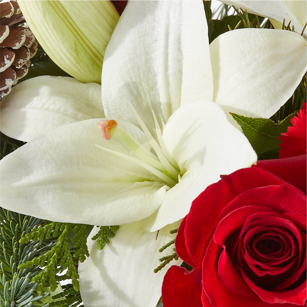 Oh So Jolly Bouquet –  Affordableflowerdelivery.com, Tontitown AR