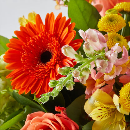 Autumn Sunshine Bouquet –  Affordableflowerdelivery.com, Tontitown AR
