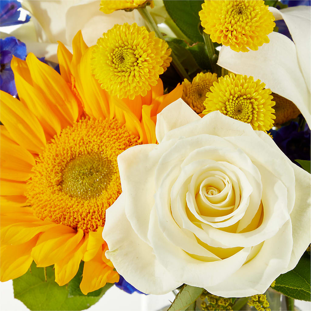Stargazing Bouquet –  Affordableflowerdelivery.com, Tontitown AR