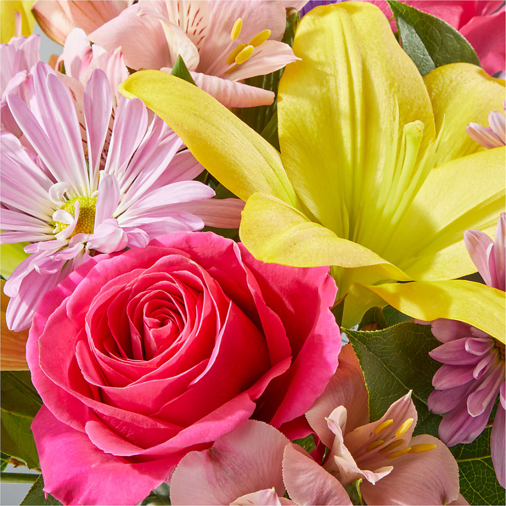 Sprinkles Bouquet –  Affordableflowerdelivery.com, Tontitown AR