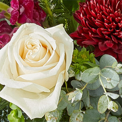 Cranberry Fizz Bouquet –  Affordableflowerdelivery.com, Tontitown AR