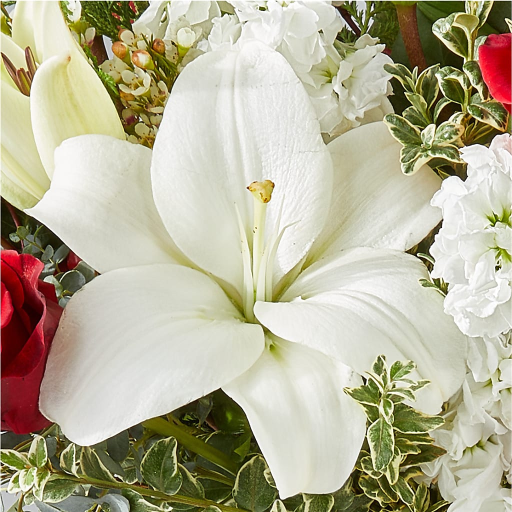 Twinkle Lights Bouquet –  Affordableflowerdelivery.com, Tontitown AR