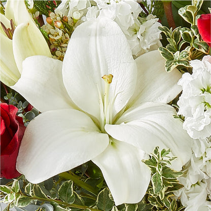 Twinkle Lights Bouquet –  Affordableflowerdelivery.com, Tontitown AR