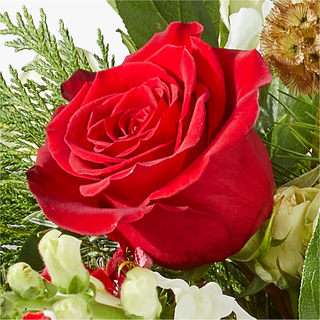 Deck the Halls Bouquet –  Affordableflowerdelivery.com, Tontitown AR