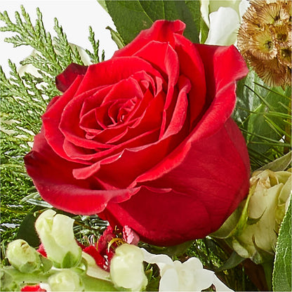 Deck the Halls Bouquet –  Affordableflowerdelivery.com, Tontitown AR