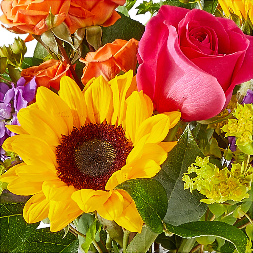 Vibrant Greetings Bouquet –  Affordableflowerdelivery.com, Tontitown AR