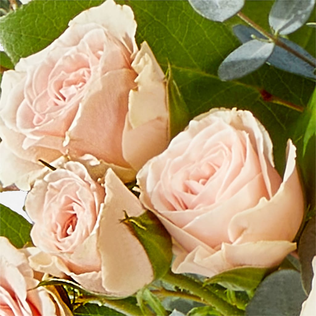 Inspired Bouquet –  Affordableflowerdelivery.com, Tontitown AR