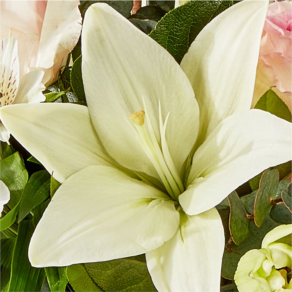 Ballet Slippers Bouquet –  Affordableflowerdelivery.com, Tontitown AR