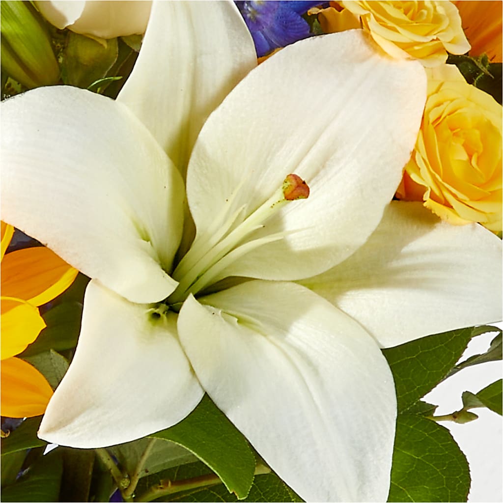 Wonderfully Sunny Bouquet –  Affordableflowerdelivery.com, Tontitown AR