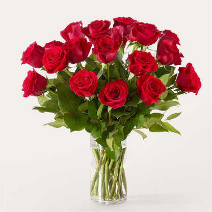 The One Red Rose Bouquet –  Affordableflowerdelivery.com, Tontitown AR