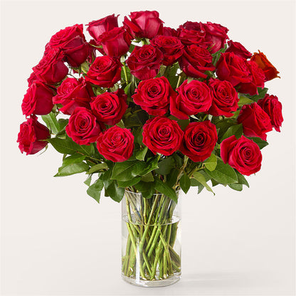 The One Red Rose Bouquet –  Affordableflowerdelivery.com, Tontitown AR
