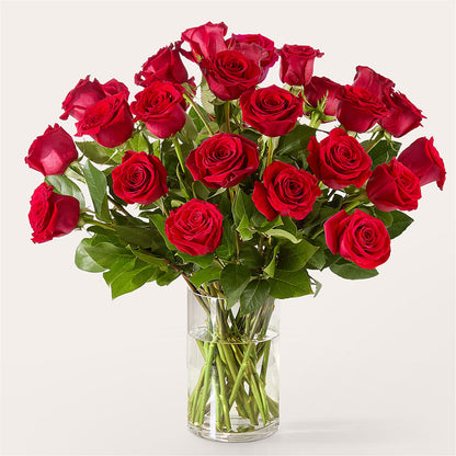 The One Red Rose Bouquet –  Affordableflowerdelivery.com, Tontitown AR