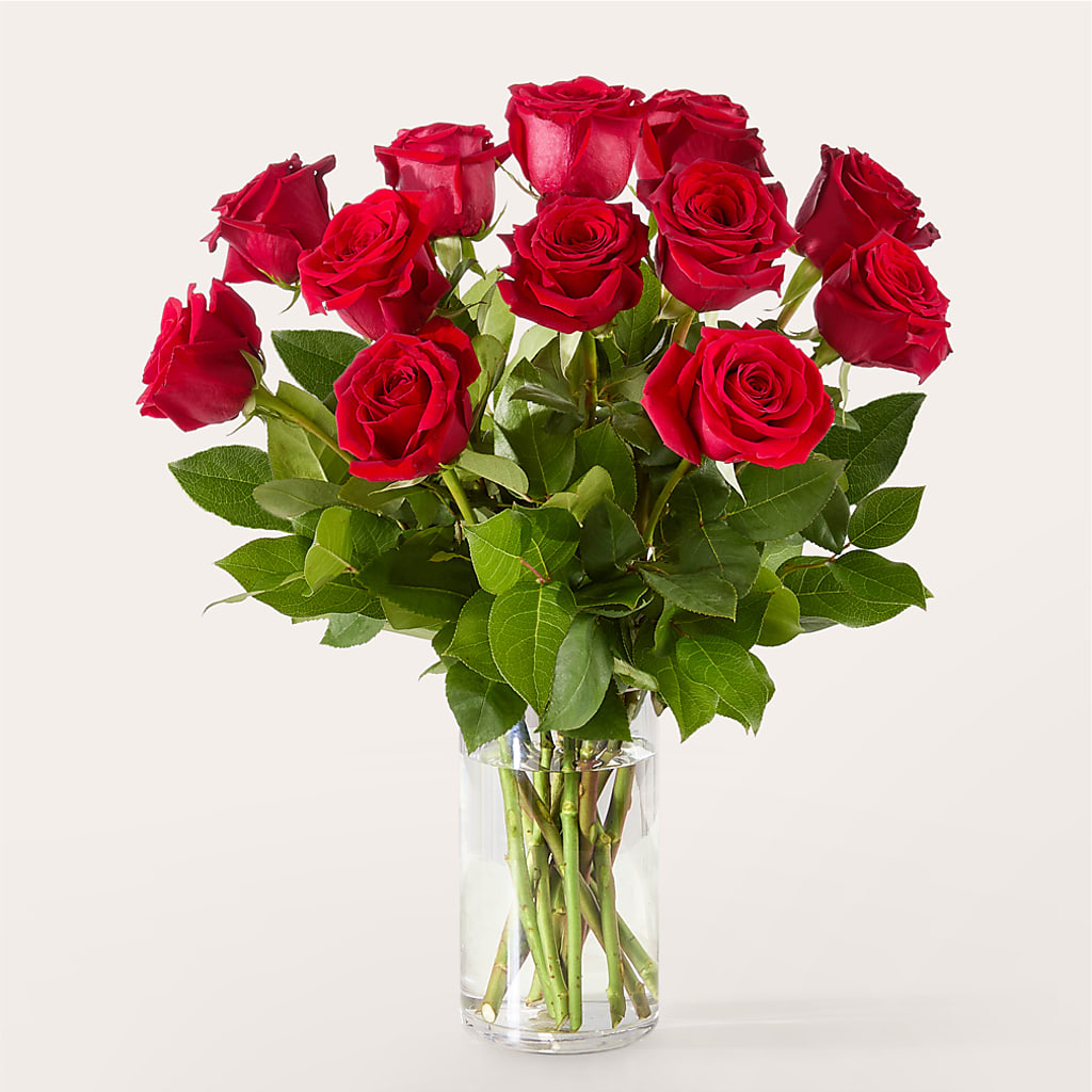 The One Red Rose Bouquet –  Affordableflowerdelivery.com, Tontitown AR