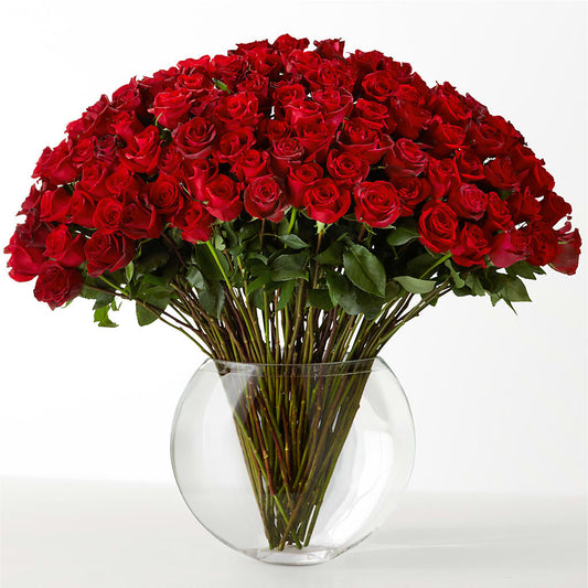 The Idealist –  Affordableflowerdelivery.com, Tontitown AR