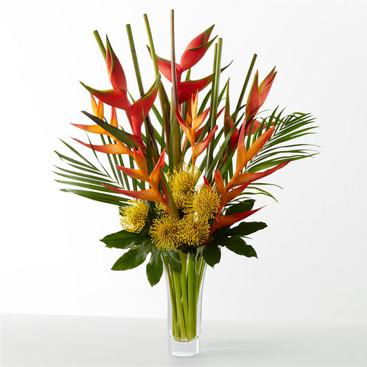 The Drama –  Affordableflowerdelivery.com, Tontitown AR